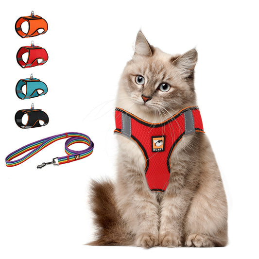 Dog Chest Strap Set Pet Supplies